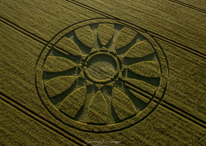Crop Circle which appeared in Wiltshire, UK represents the Sun with 12 ...